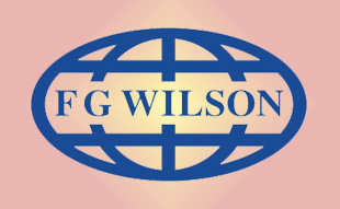 ✓ FG-Wilson 10000-00042 Шланг масляный   